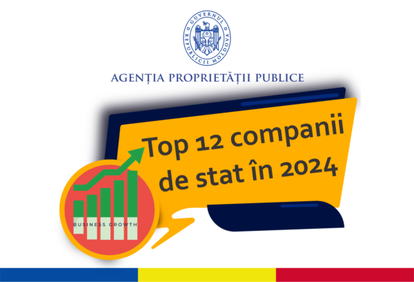 APP | Performanțe: TOP 12 companii de stat în 2024