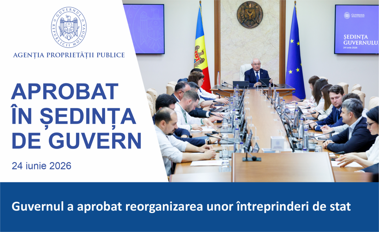 Guvernul a aprobat reorganizarea unor întreprinderi de stat
