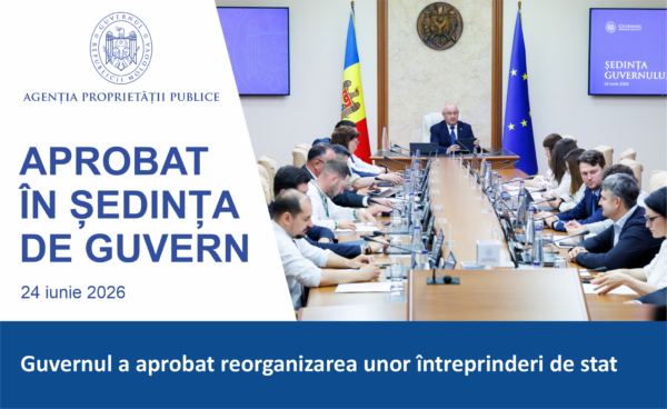 APP | Guvernul a aprobat reorganizarea unor întreprinderi de stat
